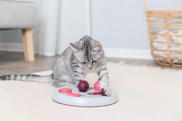 TRIXIE Katzenspiel Cat Activity Flip Board
